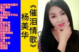 杨美华催泪情歌18首联唱视频封面