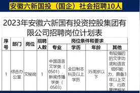 安徽六新国投（六安国企）社会招聘10人，12-15万/年，五险二金视频封面