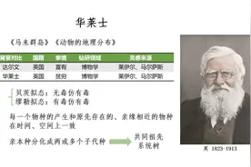 《物种起源》的诞生之华莱士的故事视频封面