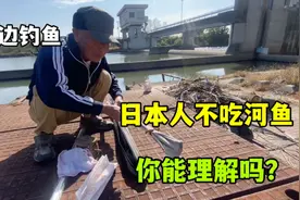 跟日本公公体验河边垂钓，日本人为啥不吃河鱼？跟中国太不一样视频封面