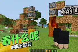 我的世界《看什么呢》解压时刻：你知道小黑羊在看什么吗？