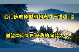 西门庆的原型明朝鬼才严世番_首创望闻问切四诊法的扁鹊大人，视频封面