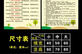 中小学生守则日常行为规范班规班训现代简约带胶教室布置墙贴挂画视频封面