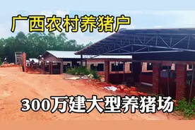 广西农村一位养猪老板，花300万修建全自动养殖场，让人大开眼界视频封面