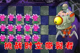植物大战僵尸：谁能最快打败时空撕裂者呢？视频封面