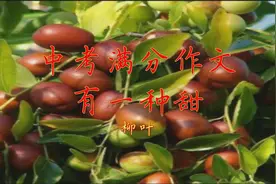 初中优秀作文《有一种甜》每天一篇作文，语文考试成神视频封面