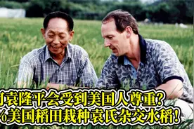 为何袁隆平会受到美国人尊重？60%美国稻田栽种袁氏杂交水稻视频封面