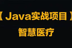 JAVA企业级项目开发实战：智慧医疗014.集成Swagger2及接口测试视频封面