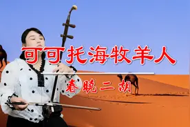 二胡版《可可托海牧羊人》火遍全网的春晚红歌，二胡演奏真有韵味视频封面