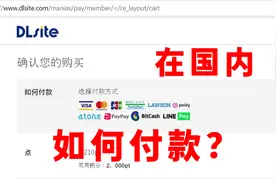 【玲笙箫】在国内DLsite该如何付款？