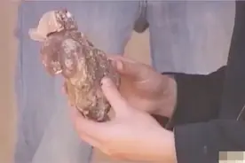 古墓尸体身上长出的阿魏 是传说中包治百病的神药 还是未知物种视频封面
