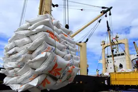 中国年产粮食超过6亿吨，能够吃多久呢？公开数据告诉你真实答案视频封面