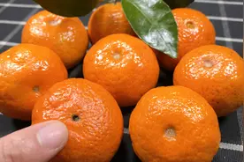 今天才知道，吃砂糖橘好处这么多？很多人都不懂，涨知识视频封面