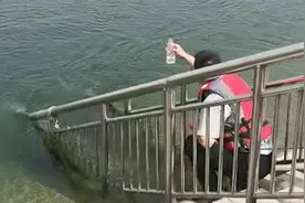 从南阳到安阳，流经731公里的“南水”可直饮，水质常年属I类水视频封面