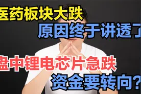 医药板块大跌，原因终于讲透了！盘中锂电芯片急跌，资金要转向？视频封面