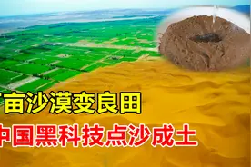 点沙成土？中国沙漠治理终极手段，半年造出三千亩“良田”视频封面