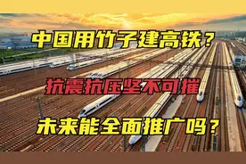 中国用竹子建高铁？抗震抗压坚不可摧，未来能全面推广吗？视频封面