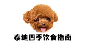 养生泰迪必吃的12种食物，你喂了吗？视频封面