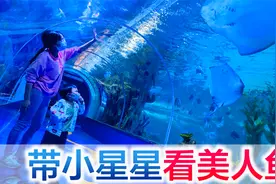 全家总动员带小星星去看美人鱼，海狮表演逗得大家哈哈大笑视频封面