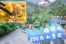 不到200元，住鼎湖山景房，傍晚进山免门票！别忘了还有：肇庆粽视频封面