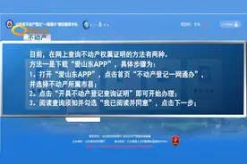 山东省不动产查询证明区全面上线视频封面