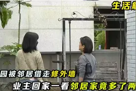 花园被邻居借来修外墙，2个月后业主回家发现，邻居家多盖了2层楼视频封面