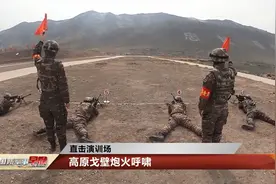 场面震撼！直击高射炮实弹射击视频封面