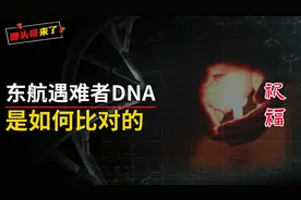 为什么确认132人全部遇难？东航MU5735遇难者DNA，是如何比对的？视频封面