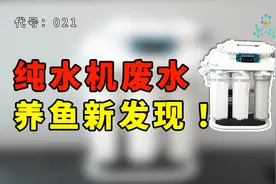 纯水机废水养鱼-纯水机废水养鱼新发现！这好事怎么不早告诉我？