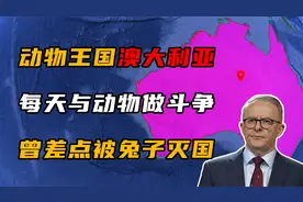 动物王国澳大利亚，每天都在跟动物做斗争，曾经还差点被兔子灭国视频封面