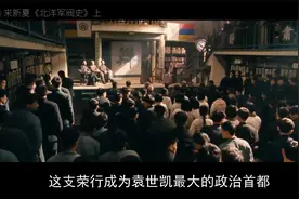 《北洋军阀史》：还原一个纷繁复杂的政治军事集团（上）视频封面
