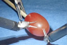 葡萄糖为什么叫葡萄糖？和葡萄有什么关系？