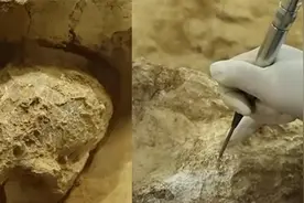 湖北十堰发现距今百万年头骨化石 实证中国百万年人类史视频封面