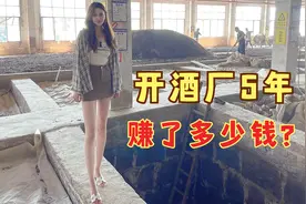 90后女老板真实现状，创业5年实现财富自由，开酒厂到底多赚钱？视频封面