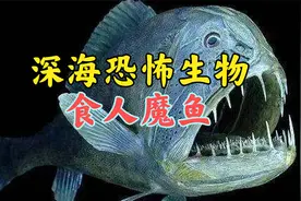 深海恐怖生物：食人魔鱼