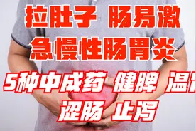 4种用于拉肚子、急慢性肠胃炎、肠易激的中成药，建议收藏视频封面