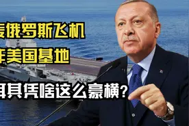 敢炸开美国基地，炮轰俄罗斯飞机！土耳其凭啥这么“豪横”？视频封面