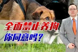 各地出台史上最严养狗办法，青岛一小区竟全面禁止，他有权利吗？视频封面
