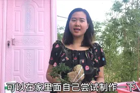 制作附石榆树盆景，普通树桩附上天然石头，身价倍增视频封面