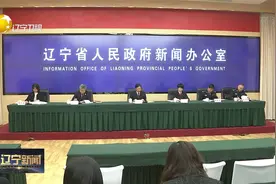 辽宁省政法队伍教育整顿多项工作成果位居全国前列视频封面