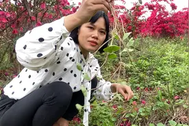 把我知道的，快速缓解口腔溃疡疼痛的土方法告诉大家，快来收藏