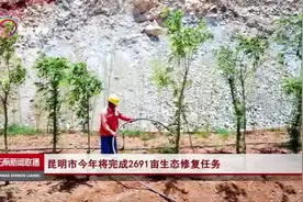 昆明市今年将完成2691亩生态修复任务视频封面
