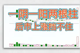 一阴一阳，两根K线，4个条件，梳理注册制最新做盘手法。视频封面