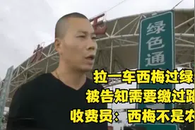 拉一车西梅过绿通，结果被拦下收过路费，收费员：西梅不是农产品视频封面
