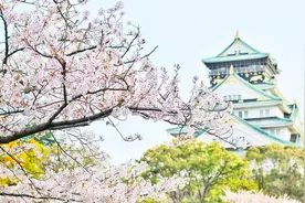 小学三年级语文重点古诗解析12：惠崇春江晚景视频封面