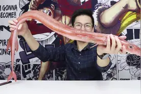 这种生物你们知道是什么吗？175块钱2斤6两，马鞭鱼了解一下视频封面