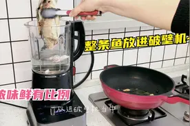 午餐用破壁机打的鱼汤，鱼头和鱼骨都打碎成汤了，营养不流失，赞视频封面