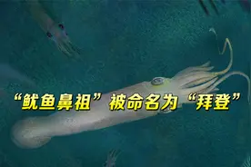美国发现迄今最古老鱿鱼化石，并将“鱿鱼鼻祖”命名为“拜登”视频封面