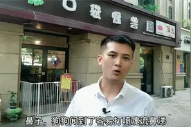 狗怕什么气味？