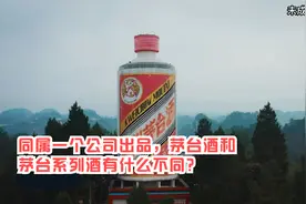 茅台酒与茅台系列酒的区别视频封面
